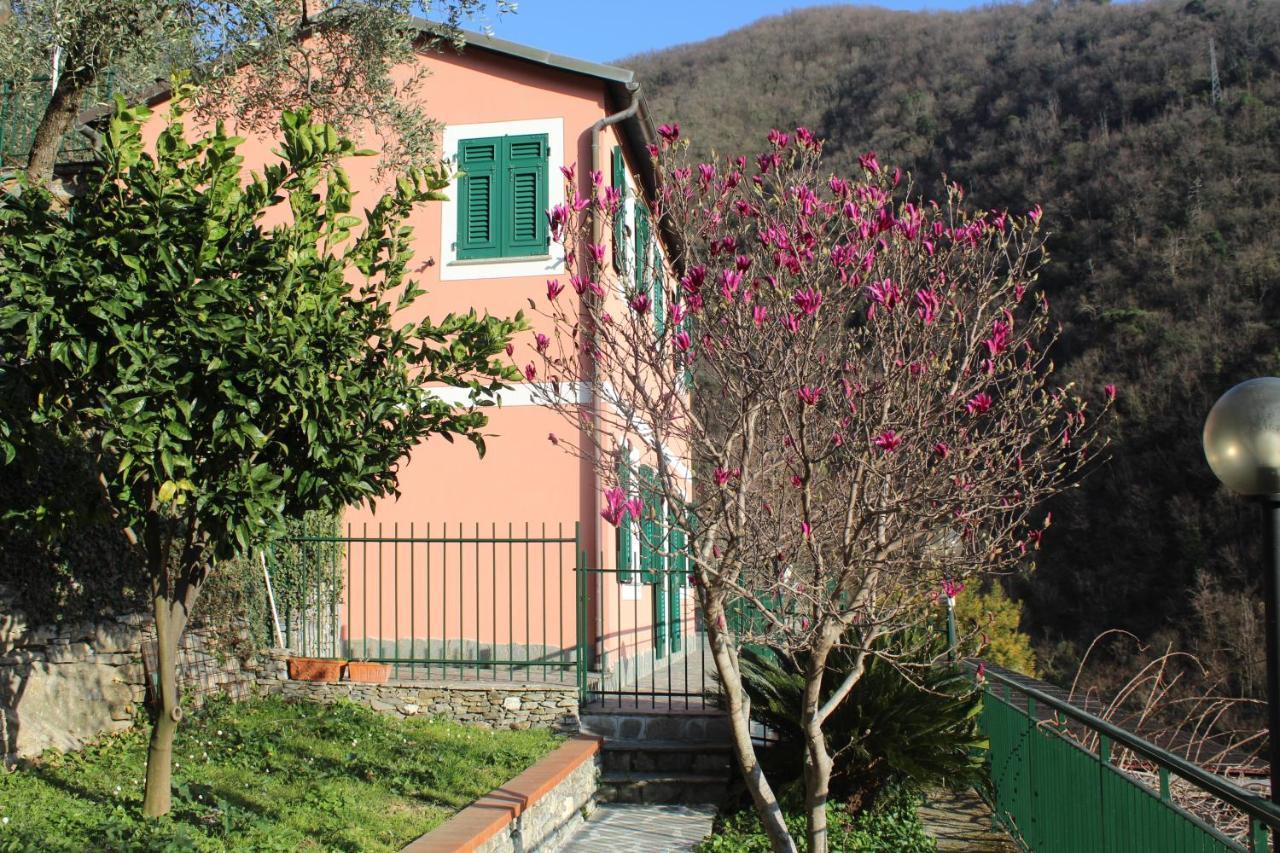 쪼알리 Casa Laura 빌라 외부 사진